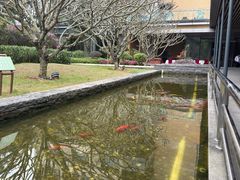 -南宁荔园维景国际酒店·荔园中餐厅