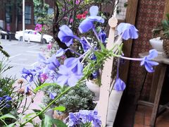 -良木缘咖啡西餐(川大店)