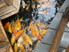 -上海大自然野生昆虫馆(东方明珠·爬宠昆虫探索中心)