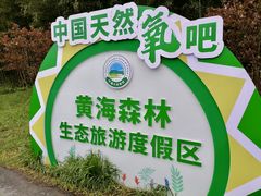 -黄海国家森林公园