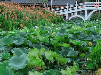 角美溼地公園