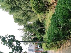 -马濠公园