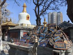 -护国法轮寺