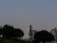 -红花山公园