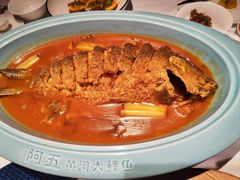 -阿五黄河大鲤鱼(英协路店)