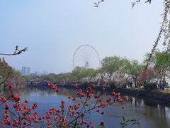 -无锡蠡湖国家湿地公园-蠡园