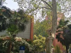 -中国科技大学-专家楼食堂