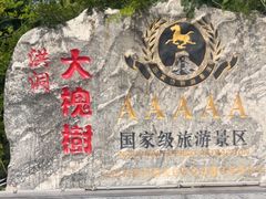 -大槐树寻根祭祖园