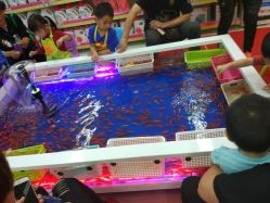 -孩子王童乐园(上海青浦吾悦广场店)