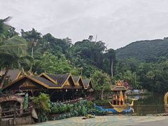 -西双版纳原始森林公园