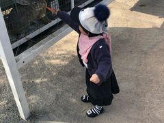 -大连铭湖国际观光牧场