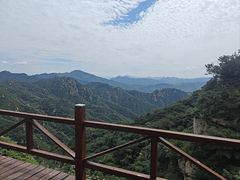 -大岭沟猕猴桃谷风景区