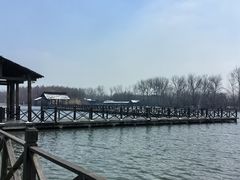 -溱湖国家湿地公园