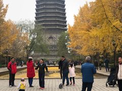 -玲珑塔公园