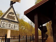-西青郊野公园