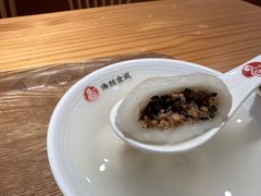 -海丝金凤(金鱼店)
