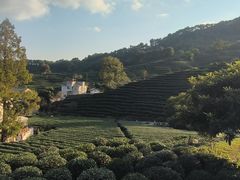 -中国茶叶博物馆(双峰馆区)