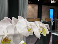 -五岳宫·私房菜
