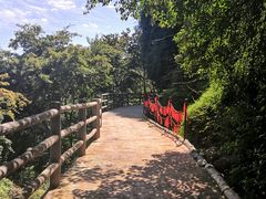 -少华山国家森林公园