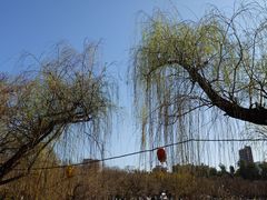 -翠湖公园