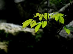 -华蓥山天意谷景区