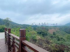 -青龙山国家森林公园