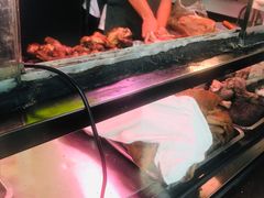 -洪记白水羊头(天坛店)