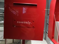 -ROSEONLY诺誓(广州K11店)
