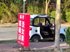 -风云岭森林公园