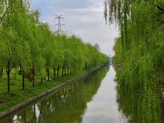 -广富林郊野公园
