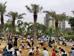 -宝安西湾红树林湿地公园