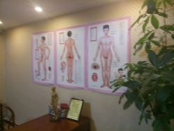 -养月堂中医养生月子会所(中心妇产店)