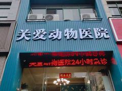 -关爱动物医院·心脏·中兽医·异宠(金牛路分院)