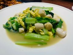 -前海沿·青岛菜(大拇指广场石老人店)