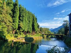 -龙苍沟森林公园