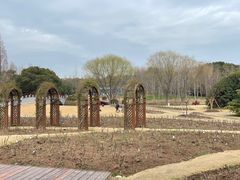 -上海滨江森林公园