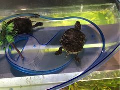 -新沙洞咖啡(泉乐坊店)