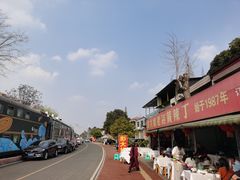 -彭大姐老店黄辣丁(新津店)