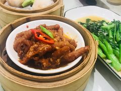 -南枝记