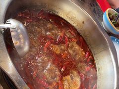 -金鼎雪山牦牛杂火锅(理县总店)