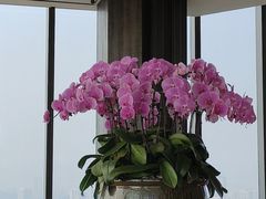 -大连君悦酒店·星海湾壹号Dalian·Dalian(星海广场店)