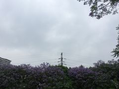 -重庆彩云湖湿地公园