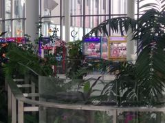 -佐度王子扒房(西城红场店)