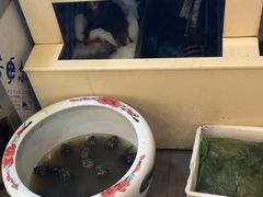 -野渡坡·极致湘菜·庭院餐厅(汉阳店)