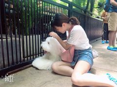 -TrueLove @ Neverland (Husky Cafe)