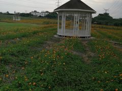 -紫颐香薰山谷景区