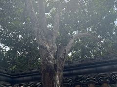 -宁波市保国寺古建筑博物馆