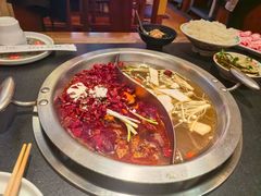 -沸炉重庆老火锅(军事博物馆店)