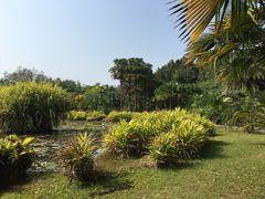 -中国科学院西双版纳热带植物园