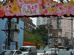 -溪岸路花鸟市场
